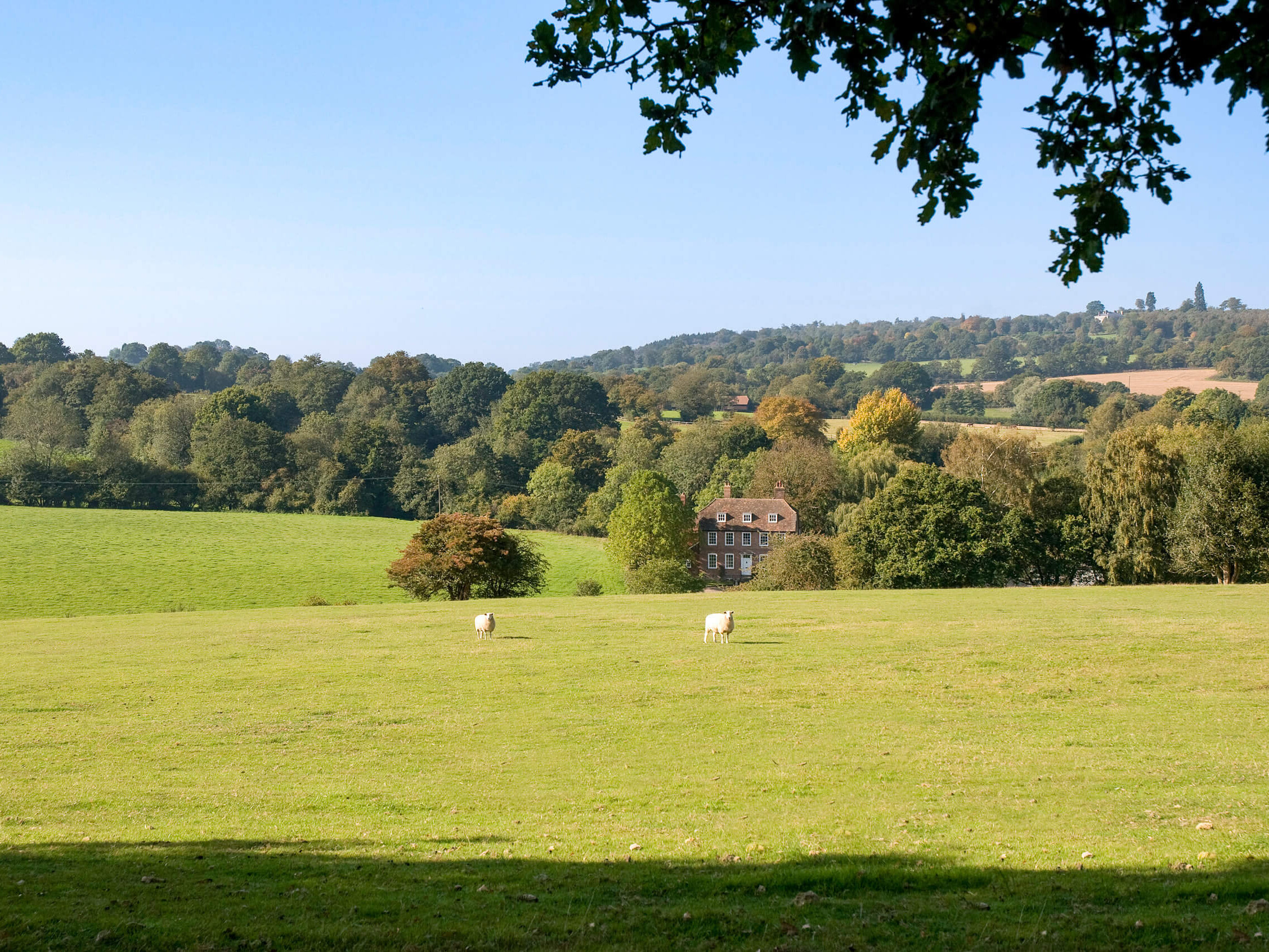 the-montreal-estate-sevenoaks-kent