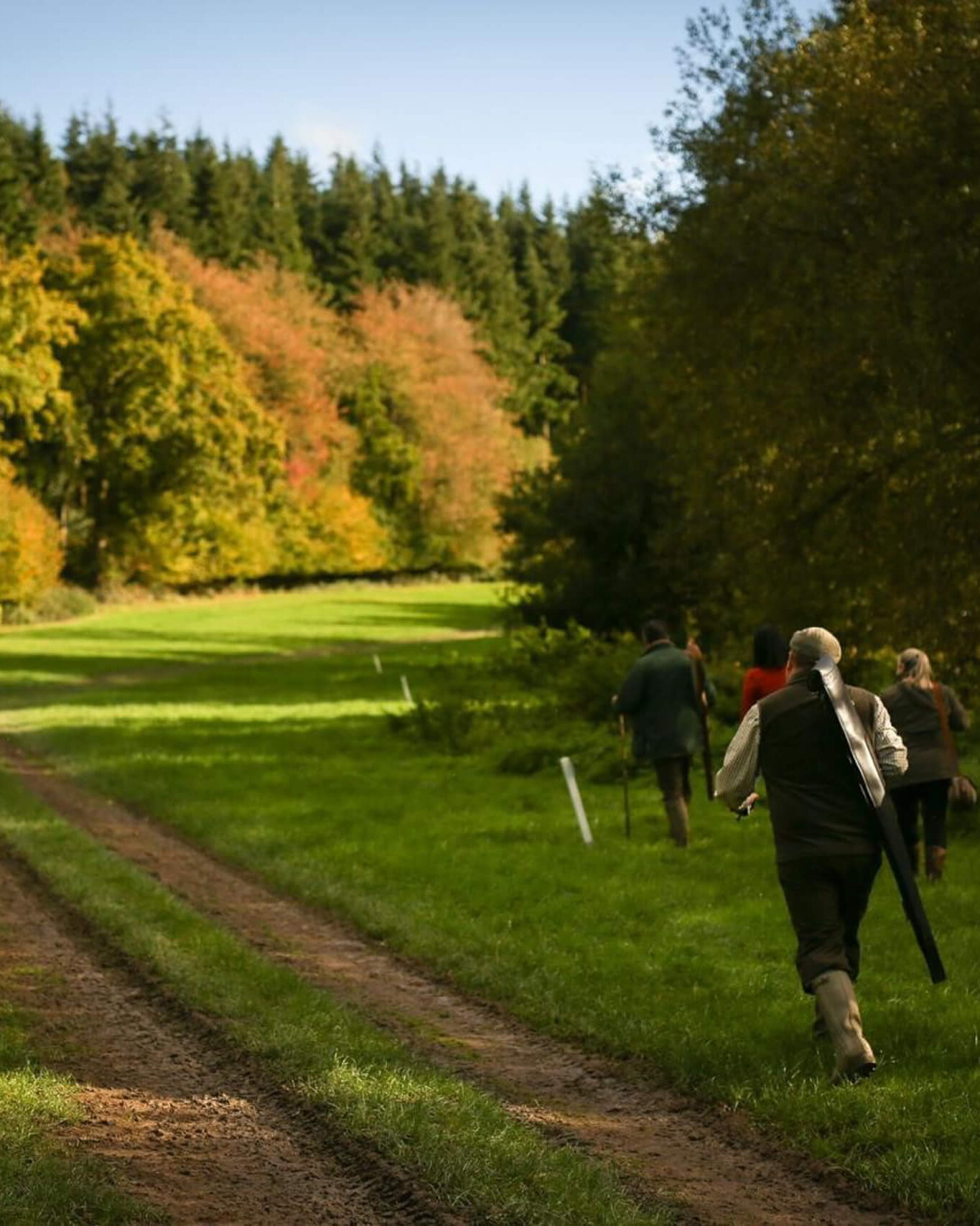 the-montreal-estate-pheasent-driven-shoot-15